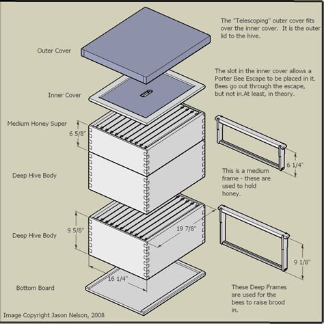 Custom Beginner: Guide to Get Easy build bee hive plans