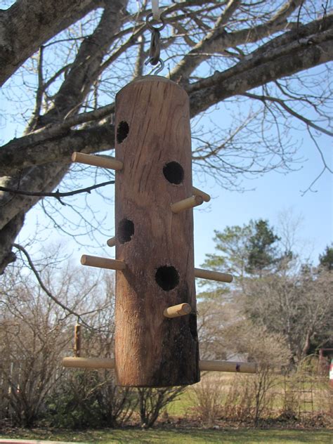 Woodpecker Feeder | Bird houses, Bird house, Woodpecker feeder