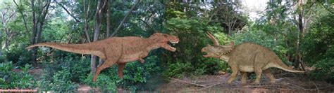 Tyrannosaurus Rex vs Triceratops by SameerPrehistorica on DeviantArt