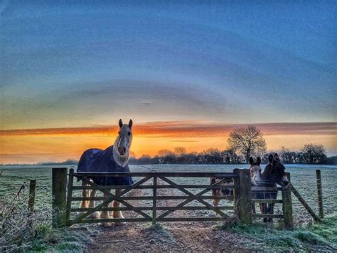 Church Farm Stow Bardolph | Visit Norfolk