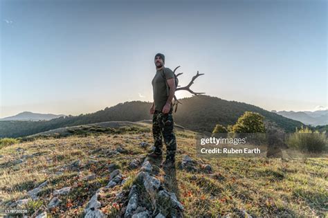 Carrying Antlers In The Mountains And Forest High-Res Stock Photo ...