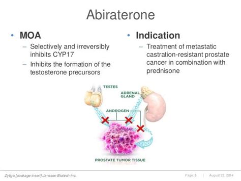 Enzalutamide in Metastatic Prostate Cancer Before Chemotherapy