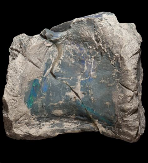 Australia's First Known Dinosaur Herd Discovered Hidden in Glittering ...