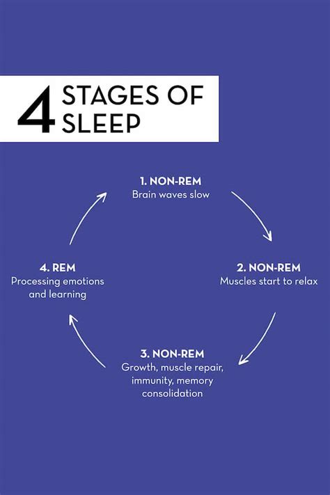 Understand the Stages of Sleep to Finally Have Your Best Sleep Ever ...