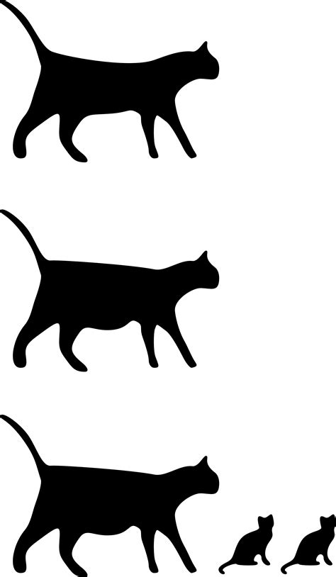 Free Black And White Cat Sketches, Download Free Black And White Cat ...