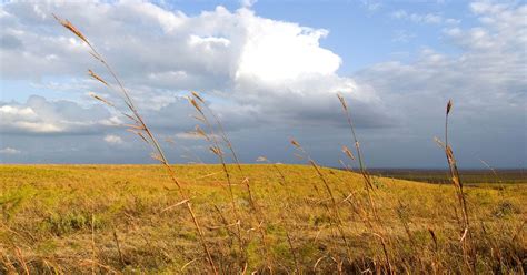 Flint Hills Tallgrass Prairie Preserve | The Nature Conservancy