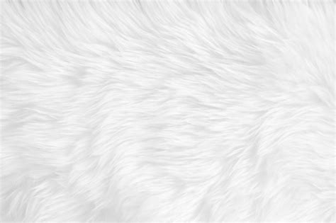 Premium Photo | White clean wool texture background light natural sheep ...