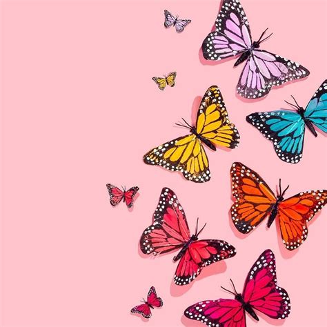 Butterfly Wallpaper Aesthetic HD Free Download