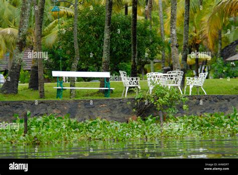 COCONUT LAGOON KUMARAKOM KERALA Stock Photo - Alamy