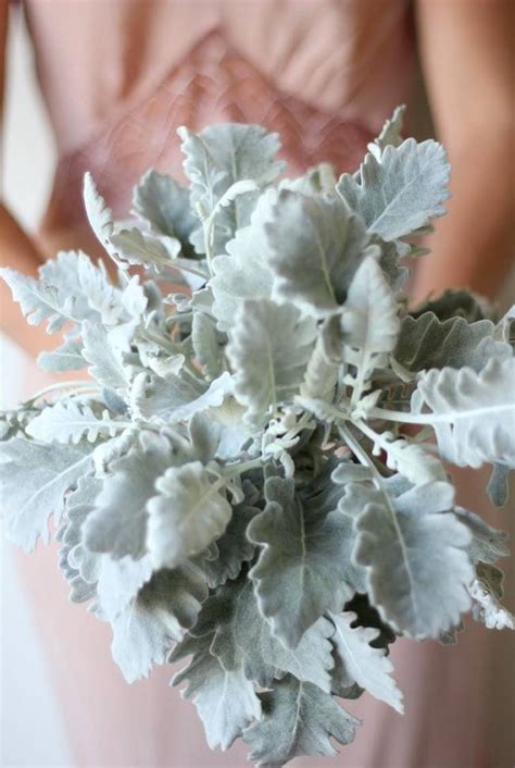 Dusty Miller Wedding Bouquet Inspiration