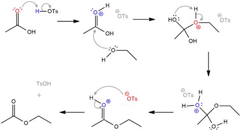 Esterification Mechanism