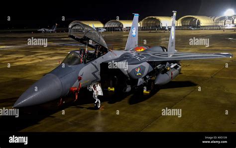 A 4th Fighter Wing F-15E Strike Eagle heritage paint scheme aircraft ...