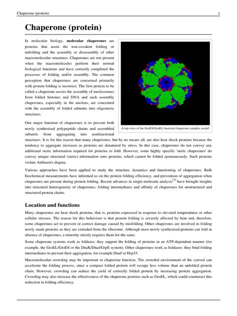 Chaperone (Protein) | Chaperone (Protein) | Molecular Biology | Free 30 ...