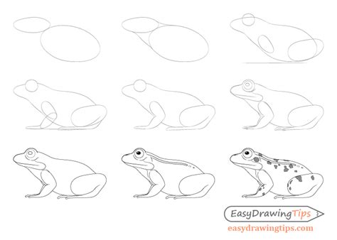 Details 132+ drawing of frog easy - seven.edu.vn