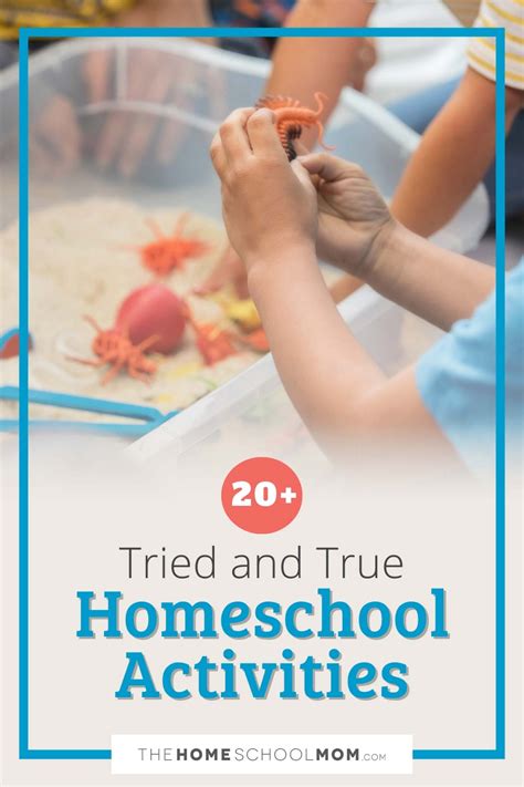 20+ Tried and True Homeschooling Activities and Resources