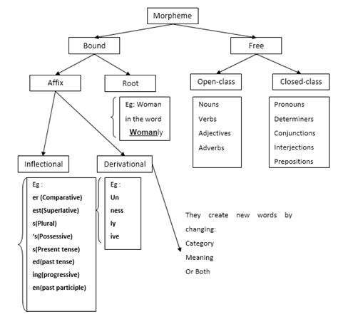 Levels of Language Organizatio