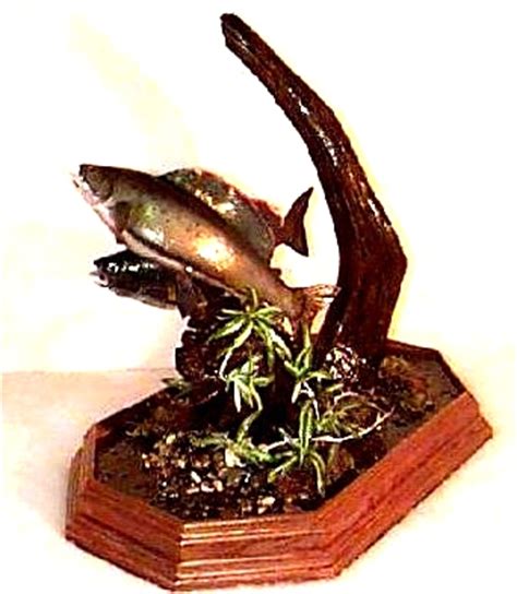 Grayling Habitat | Alaska Wilderness Arts and Taxidermy