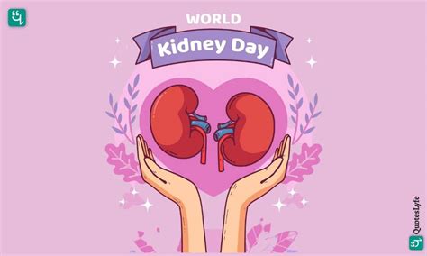 World Kidney Day 2023: Date, Quotes, Wishes, Messages, Images, History ...