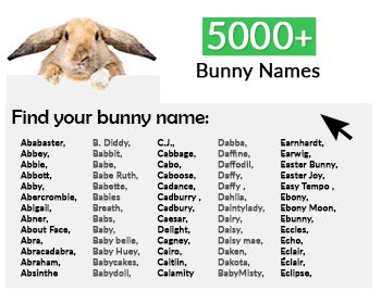 5000+ Most Popular Bunny Names (Top 250 Boy & Girl) - RabbitPedia.com ...