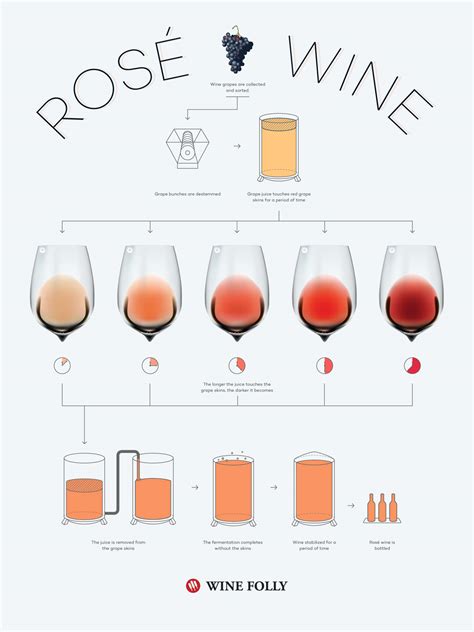 What Is Rosé: Quick Guide To Pink Wine | Wine Folly