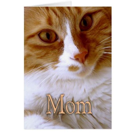 Happy Mother's Day - Sweet Cat Card | Zazzle