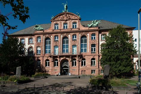 Sprung in die Zukunft · Senckenberg Naturmuseum Frankfurt