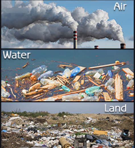 Pollution (UOI) Diagram | Quizlet