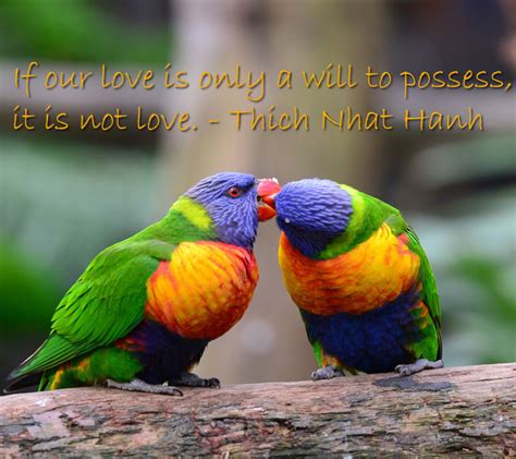 Quotes About Love And Birds. QuotesGram