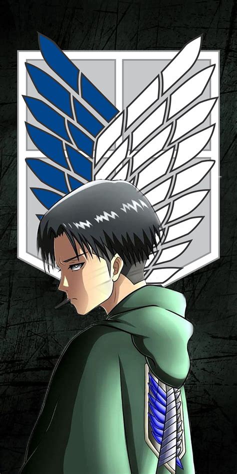 Attack on titan levi, attack on titan, sword, HD phone wallpaper | Peakpx