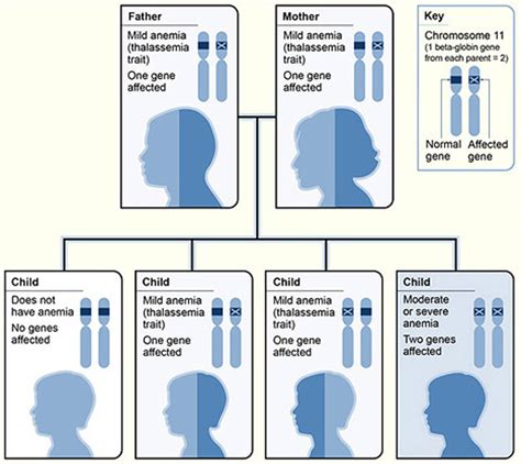 A Guide to Beta Thalassemia: CRISPR Gene Therapy is a Game-Changer