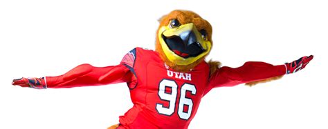 U mascot Swoop turns 20 | UNews