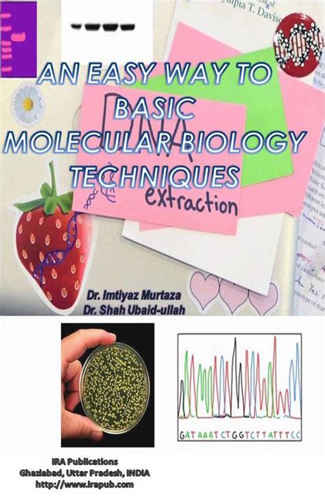 Buy, Rent and Read An Easy Way to Basic Molecular Biology Techniques ...