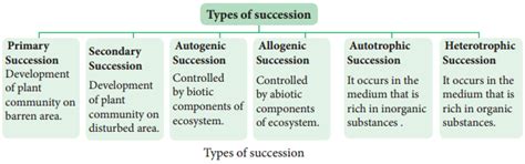 Ecological Plant Succession – Characteristics, Types and Examples