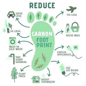 Premium Vector | Hand-drawn footprint infographics | Eco quotes ...