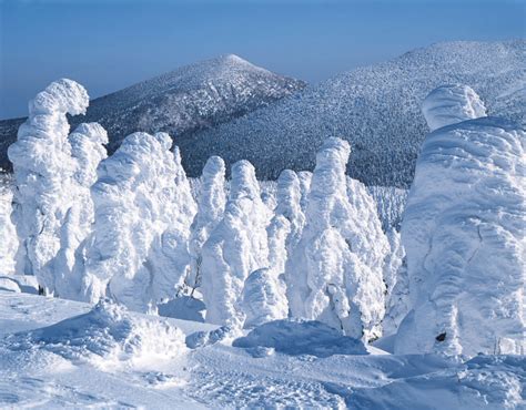 Photos: ‘Snow monsters’ of Japan ~ Pink Tentacle