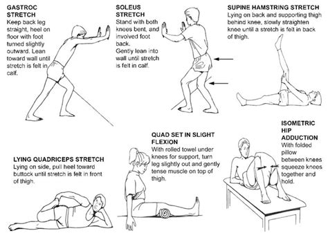 Printable Exercises Before Knee Replacement - Printable Word Searches