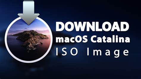 Download macOS Catalina ISO Image -Latest - wikigain