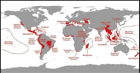 Bitacora Naturae: PUNTOS CALIENTES DE BIODIVERSIDAD O HOTSPOTS