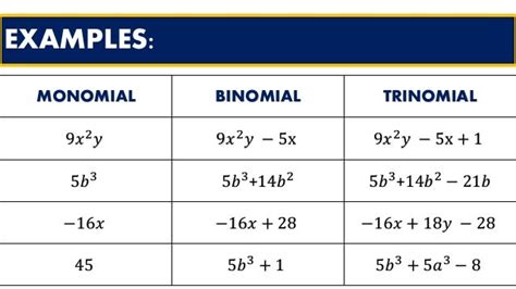 A Review On Polynomials