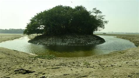 Okhla Bird Sanctuary dry for over 20 days; migration of birds affected ...