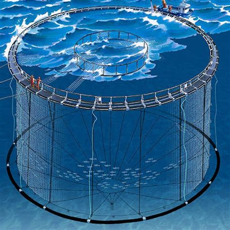 High Quality Fish Cages Fish Farming Cage Floating Fish Cage Price ...