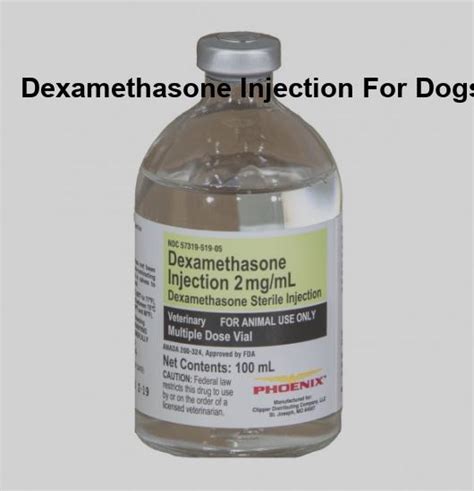 Dexamethasone injection for dogs side effects, dexamethasone 2 mg for ...