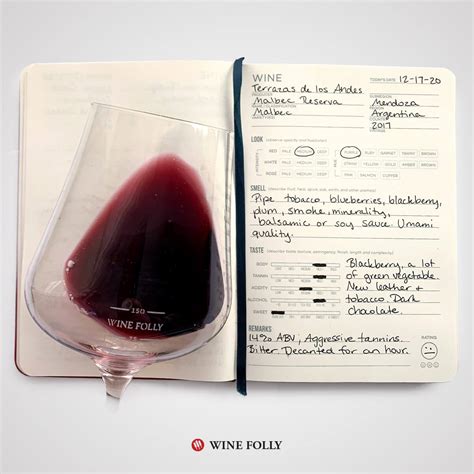 Tasting Challenge: Argentina’s Adopted Child, Malbec - Wine Of The Vines