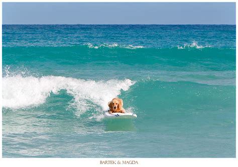 Stephanie + Stephen | Surfing at Macao Beach, Dominican Republic ...