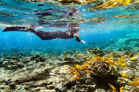 Point Hacks | Activity | Kona's Deluxe Snorkel - Beat the…