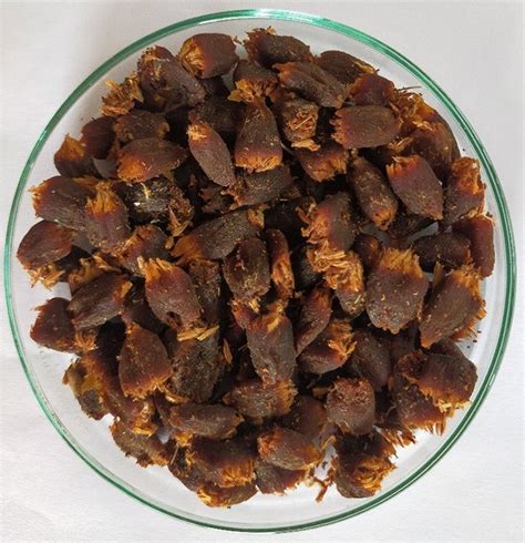 Dried flowers of Madhuca longifolia | Download Scientific Diagram