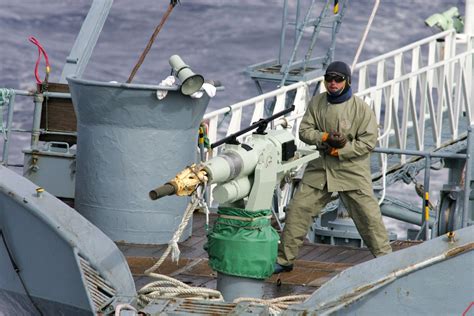 Japan to Launch Commercial Whaling Operations This Summer | Smart News ...