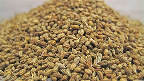 50+ Untold Benefits of Ajwain Seeds For Skin, Hair & Health: Its Side ...