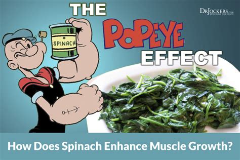 The Popeye Effect: How Does Spinach Enhance Muscle Growth?