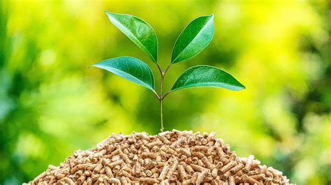 Advantages of biomass energy - Alkebulan